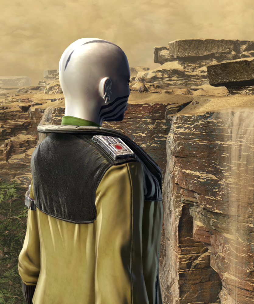 G.A.M.E Security Armor Set detailed back view from Star Wars: The Old Republic.