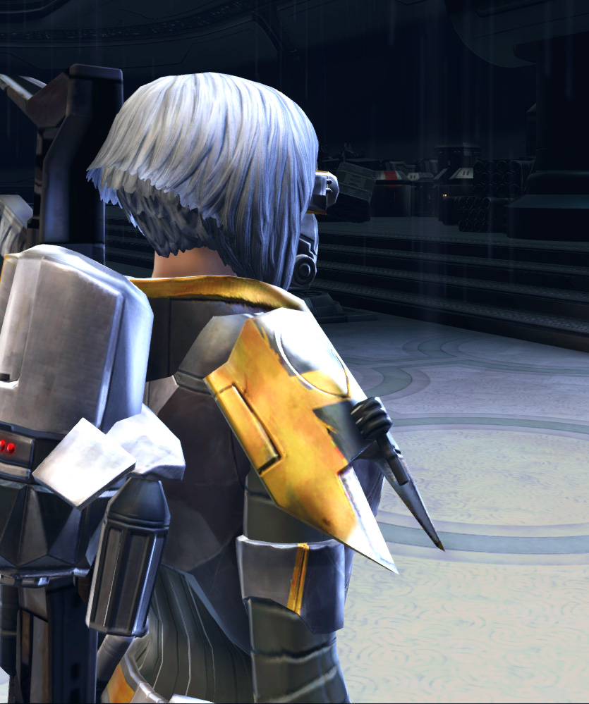 Alderaanian Bounty Hunter Armor Set detailed back view from Star Wars: The Old Republic.