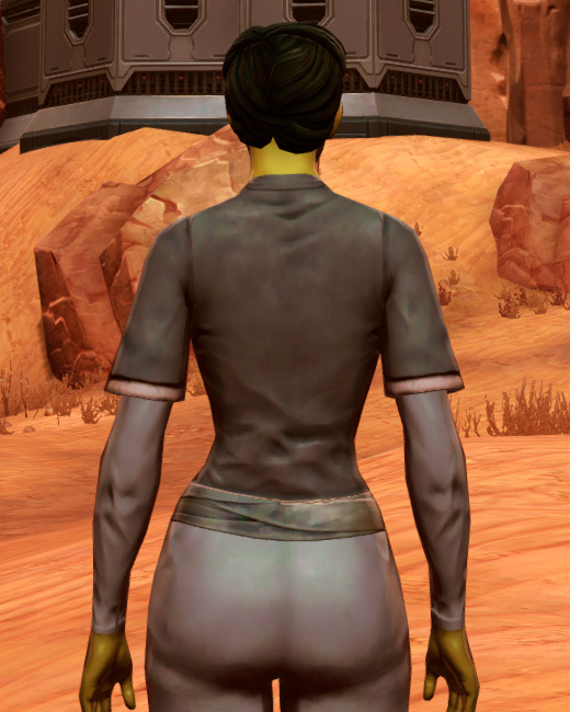 Bantha Hide Armor Set Back from Star Wars: The Old Republic.