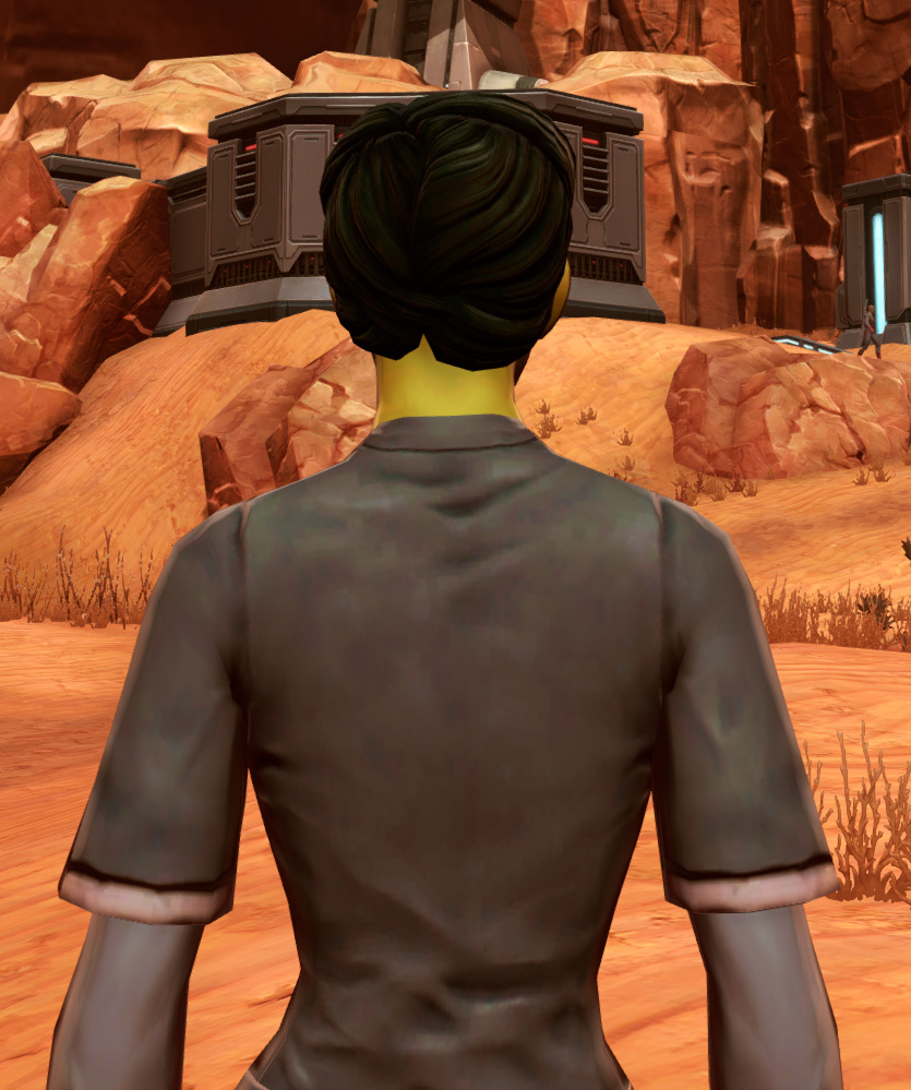 Bantha Hide Armor Set detailed back view from Star Wars: The Old Republic.