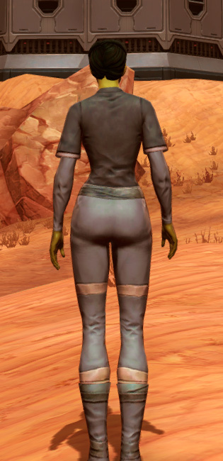 Bantha Hide Armor Set player-view from Star Wars: The Old Republic.