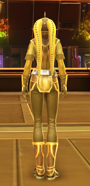 Casual Combatant Armor Set player-view from Star Wars: The Old Republic.