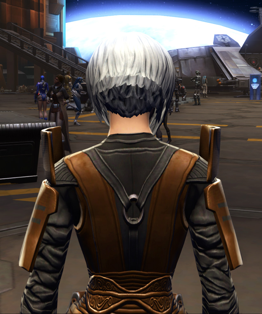 Citadel Force-lord Armor Set detailed back view from Star Wars: The Old Republic.