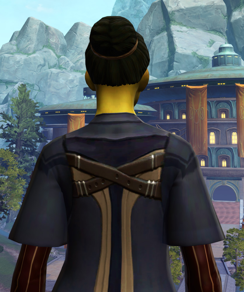 Consular Armor Set detailed back view from Star Wars: The Old Republic.