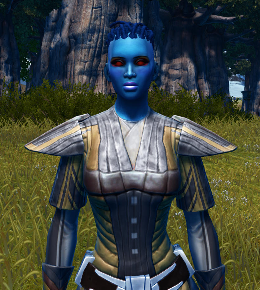 Fitted Gamorrean Bantha Hide / Fitted Echani Bolted / Fitted Echani Plastiform Armor Set from Star Wars: The Old Republic. - ARMOR Fitted Gamorrean Bantha Hide / Fitted Echani Bolted / Fitted Echani Plastiform Armor Set from Star Wars: The Old Republic.