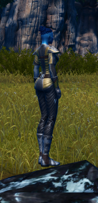 Fitted Gamorrean Bantha Hide / Fitted Echani Bolted / Fitted Echani Plastiform Armor Set player-view from Star Wars: The Old Republic. - PLAYER Fitted Gamorrean Bantha Hide / Fitted Echani Bolted / Fitted Echani Plastiform Armor Set player-view from Star Wars: The Old Republic.