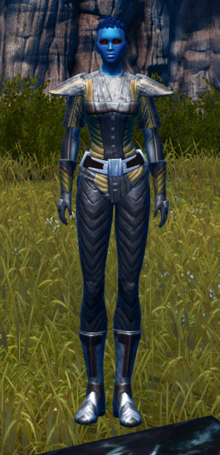Fitted Gamorrean Bantha Hide / Fitted Echani Bolted / Fitted Echani Plastiform Armor Set Outfit from Star Wars: The Old Republic. - OUTFIT Fitted Gamorrean Bantha Hide / Fitted Echani Bolted / Fitted Echani Plastiform Armor Set Outfit from Star Wars: The Old Republic.