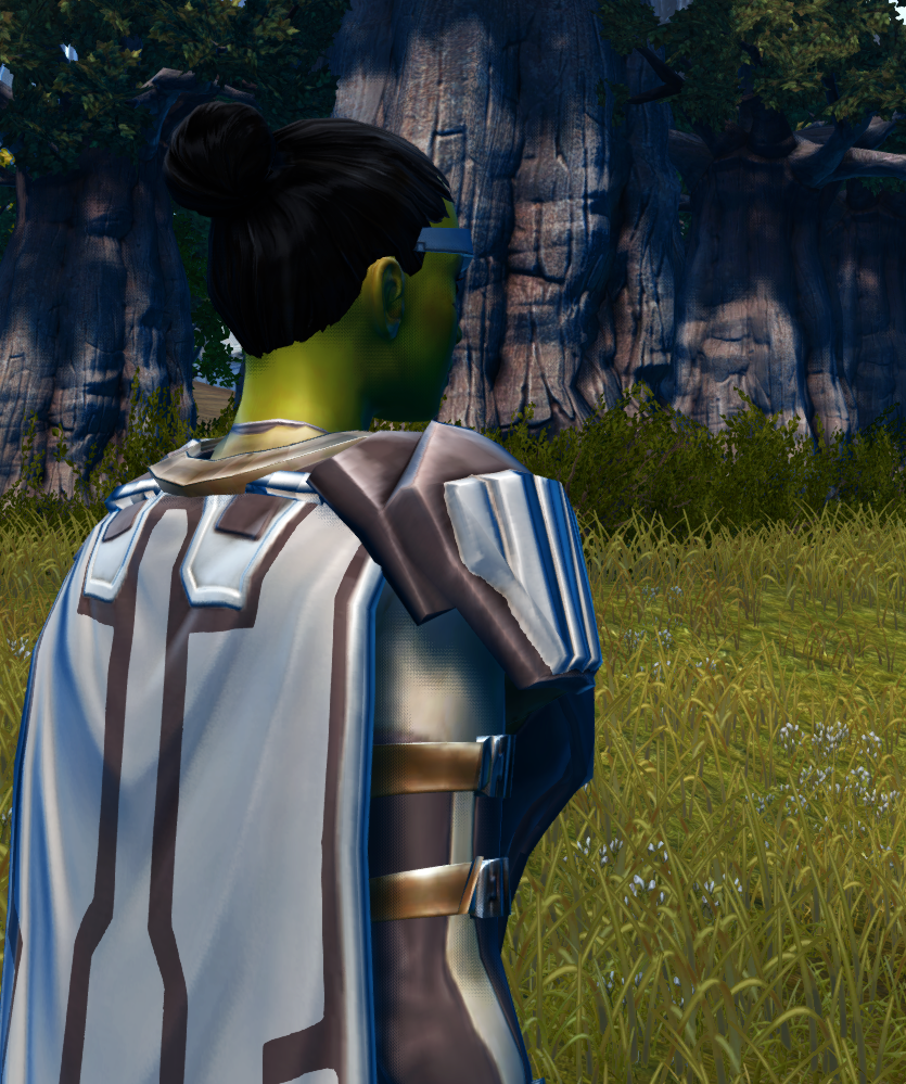 Fitted Mantellian Skirmish / Fitted Dantoonian Neo-leather MKII Armor Set detailed back view from Star Wars: The Old Republic. - DETAILS Fitted Mantellian Skirmish / Fitted Dantoonian Neo-leather MKII Armor Set detailed back view from Star Wars: The Old Republic.