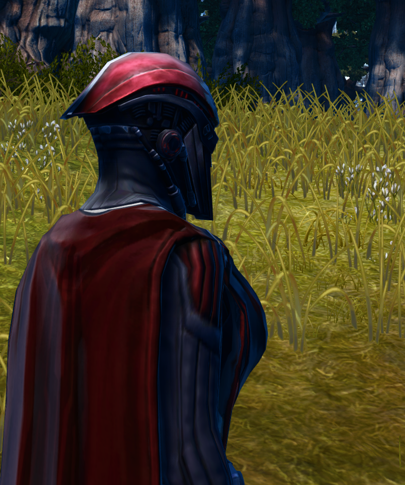 Force Champion (Imperial) Armor Set detailed back view from Star Wars: The Old Republic. - DETAILS Force Champion (Imperial) Armor Set detailed back view from Star Wars: The Old Republic.