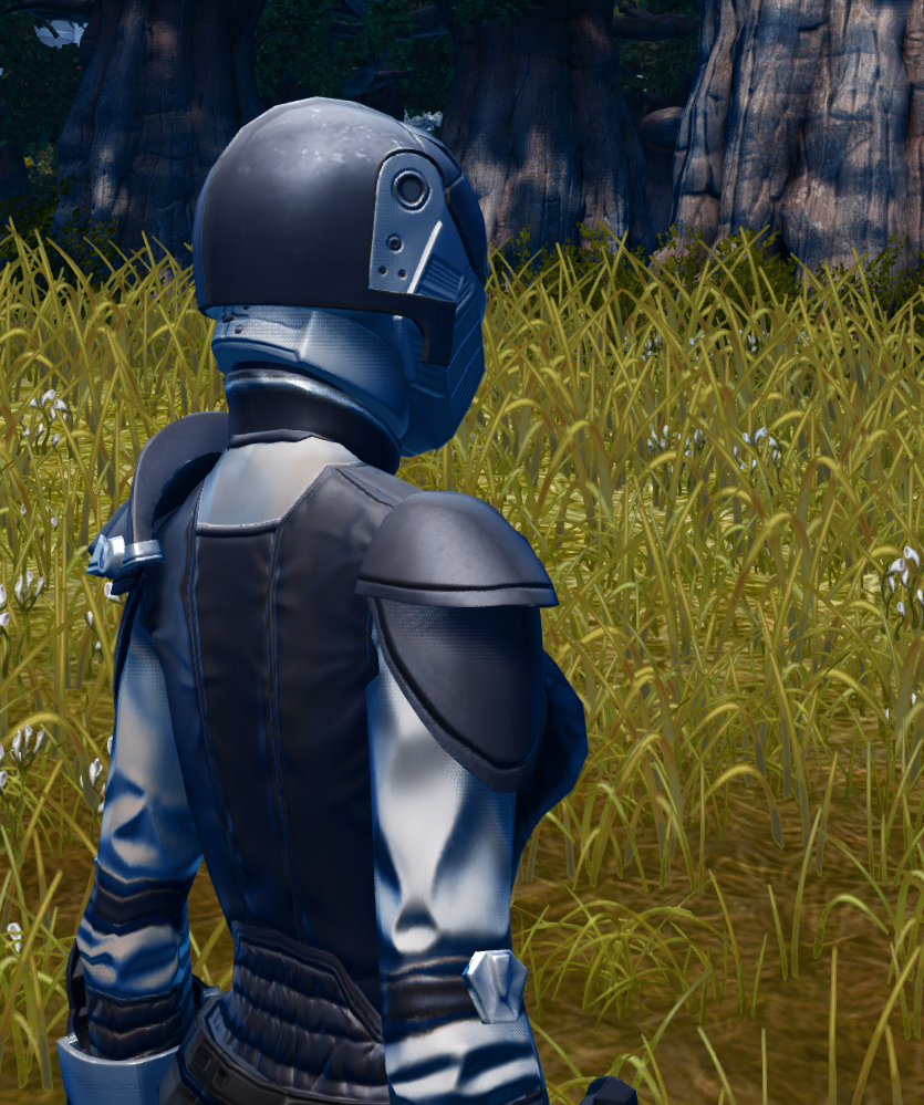 Force Veteran Armor Set detailed back view from Star Wars: The Old Republic. - DETAILS Force Veteran Armor Set detailed back view from Star Wars: The Old Republic.