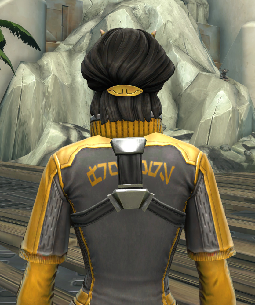 Frogdog Practice Jersey Armor Set detailed back view from Star Wars: The Old Republic.