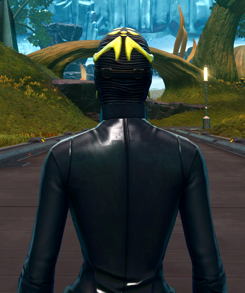 Glorious Charnel Mask Armor Set detailed back view from Star Wars: The Old Republic.