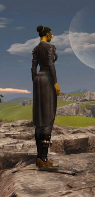 Gold Efficiency Scanner Armor Set player-view from Star Wars: The Old Republic. - PLAYER Gold Efficiency Scanner Armor Set player-view from Star Wars: The Old Republic.