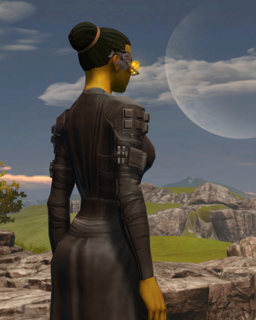 Gold Efficiency Scanner Armor Set Back from Star Wars: The Old Republic. Gold Efficiency Scanner Armor Set Back from Star Wars: The Old Republic. - BACK
