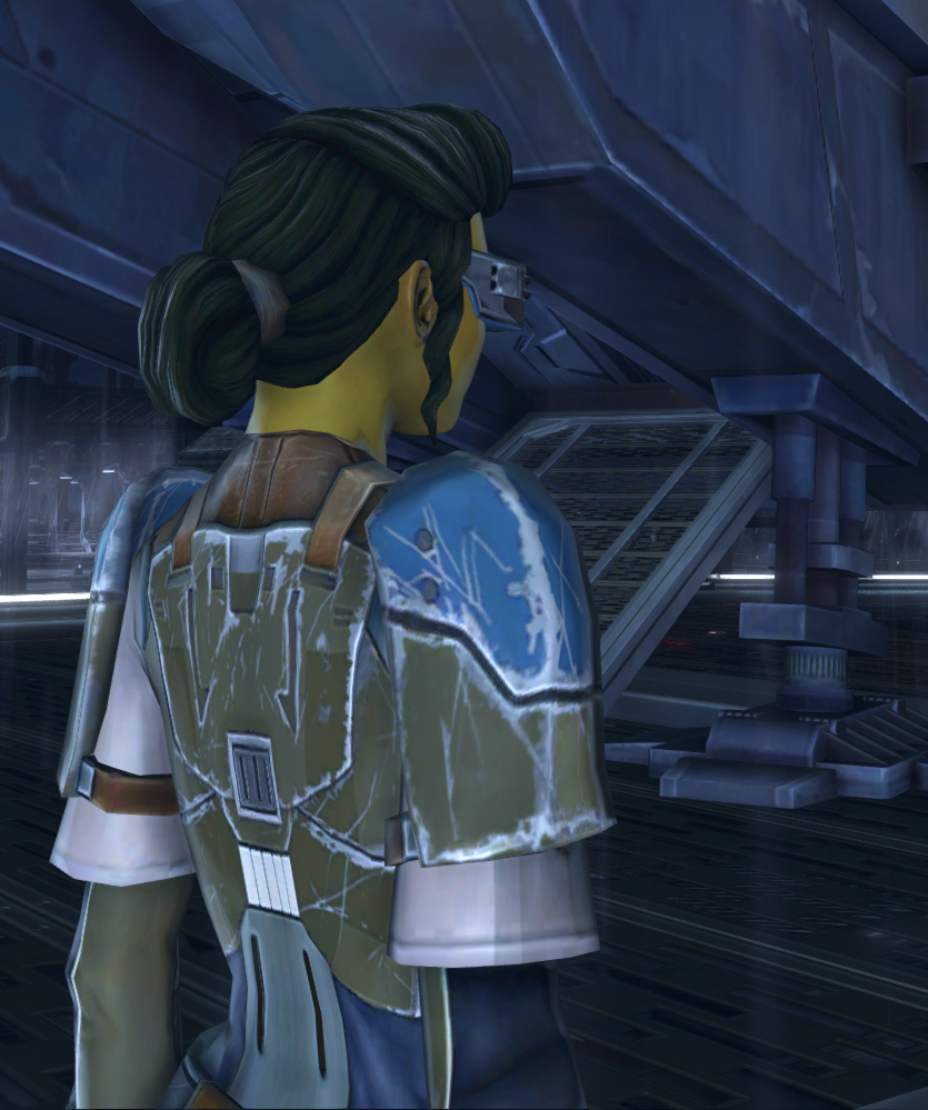 Hutta Bounty Hunter Armor Set detailed back view from Star Wars: The Old Republic.
