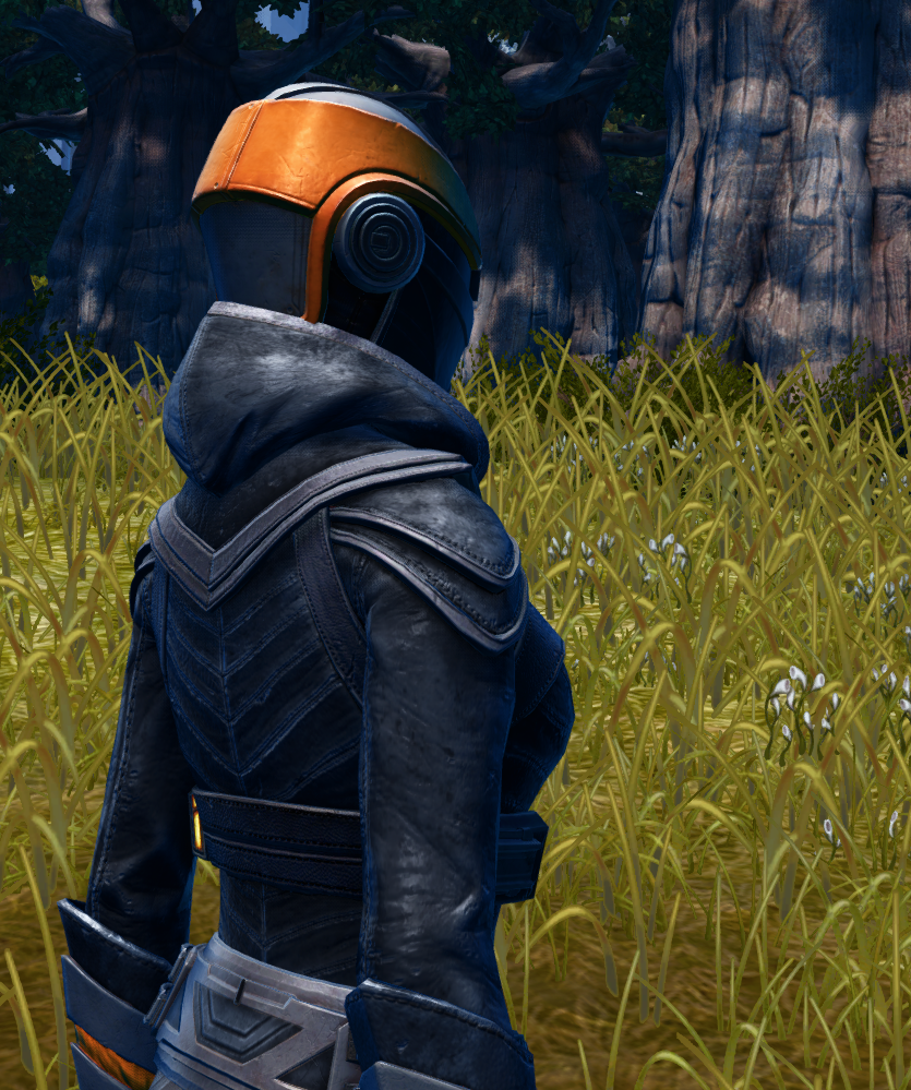Imperial Reaper (Hood Down) Armor Set detailed back view from Star Wars: The Old Republic. - DETAILS Imperial Reaper (Hood Down) Armor Set detailed back view from Star Wars: The Old Republic.