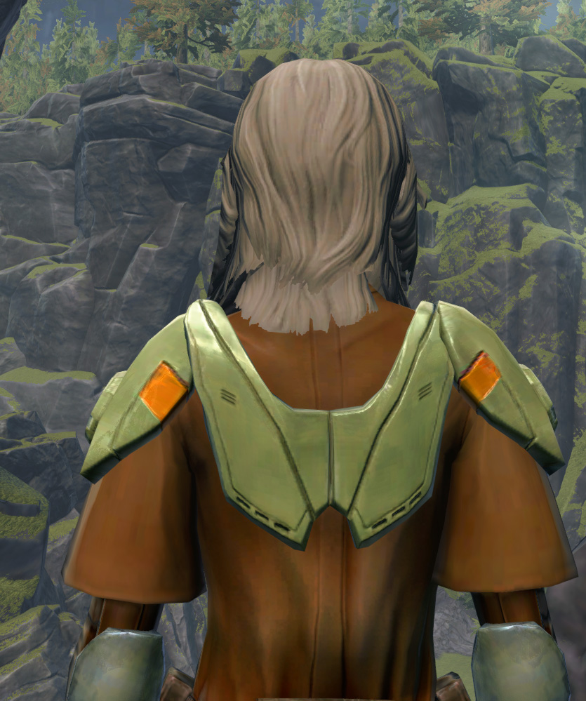 Jedi Stormguard Armor Set detailed back view from Star Wars: The Old Republic.