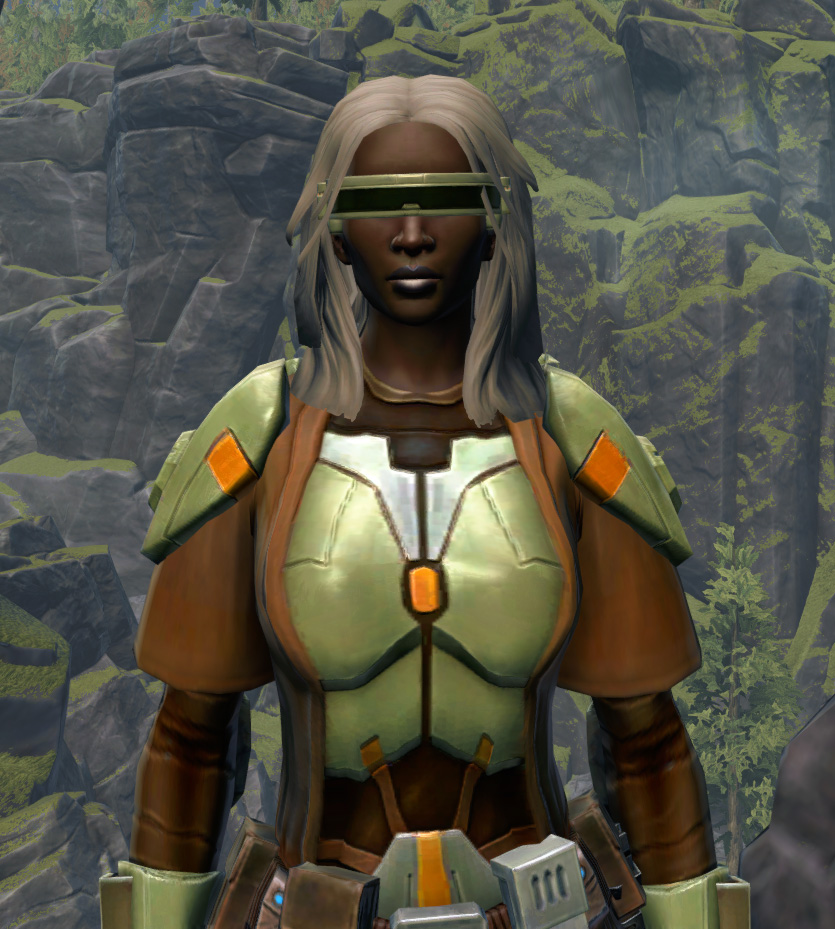 Jedi Stormguard Armor Set from Star Wars: The Old Republic.