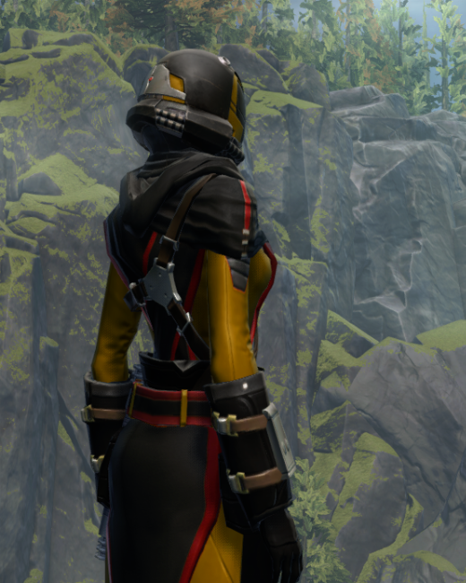 Outlander Force-Lord / Force-Healer / Duelist MK-8 Armor Set Back from Star Wars: The Old Republic. Outlander Force-Lord / Force-Healer / Duelist MK-8 Armor Set Back from Star Wars: The Old Republic. - BACK