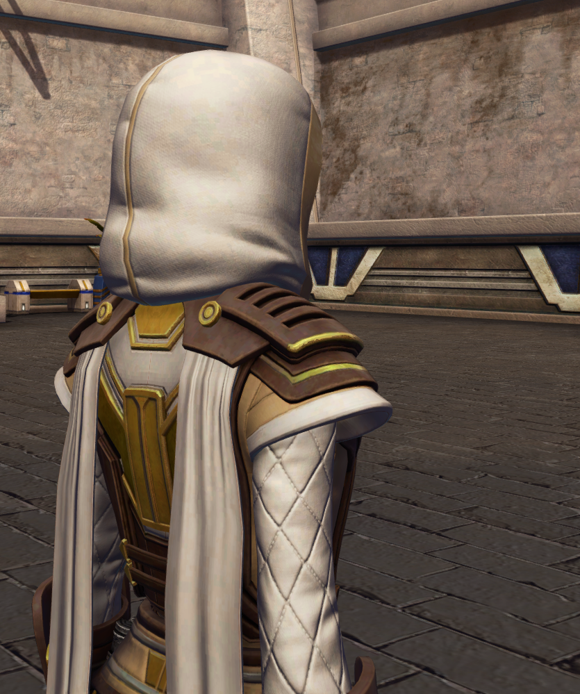 Patient Defender (hood) Armor Set detailed back view from Star Wars: The Old Republic.