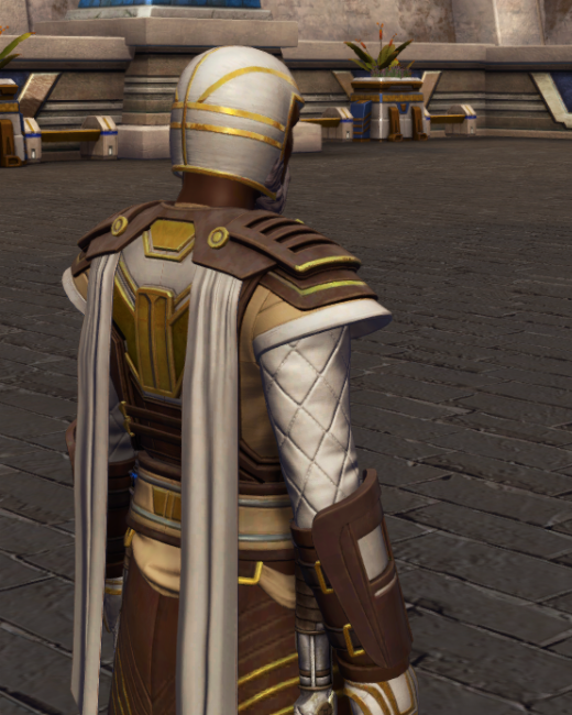 Patient Defender (no hood) Armor Set Back from Star Wars: The Old Republic.