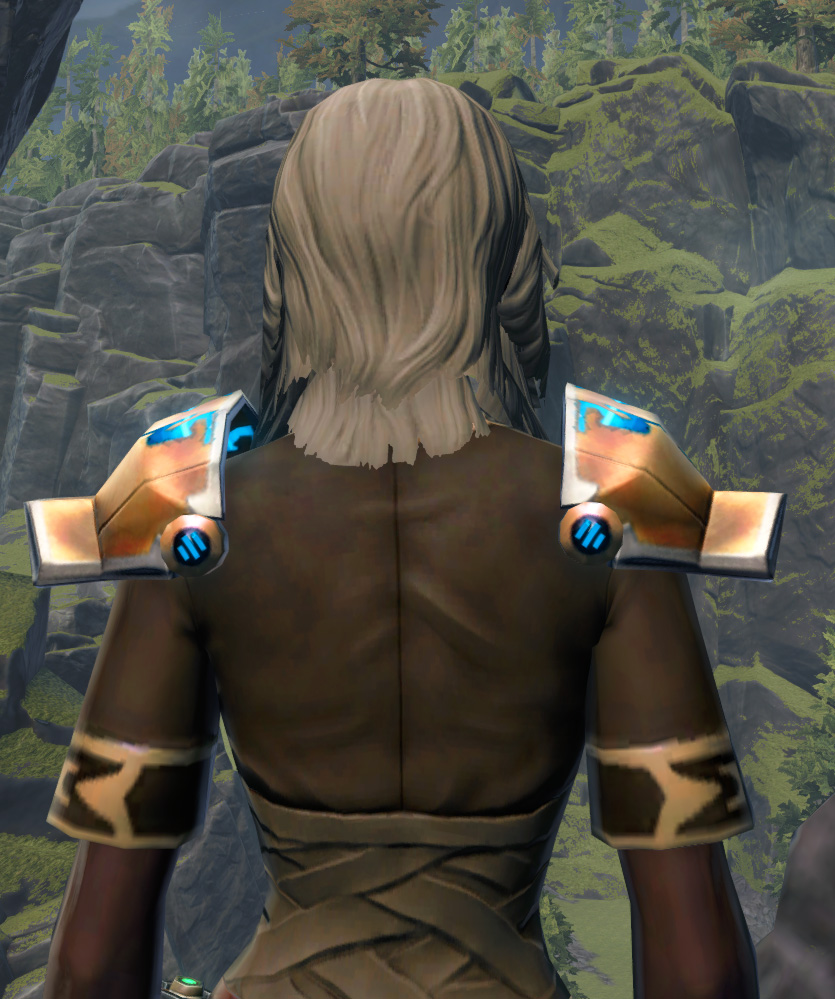 Potent Champion Armor Set detailed back view from Star Wars: The Old Republic.