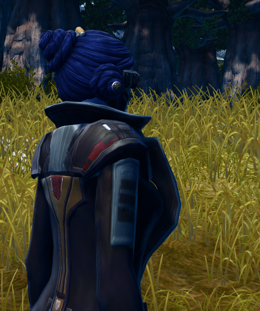 RD-04B Sharpshooter / TD-04B Spec Ops (Imperial) Armor Set detailed back view from Star Wars: The Old Republic. - DETAILS RD-04B Sharpshooter / TD-04B Spec Ops (Imperial) Armor Set detailed back view from Star Wars: The Old Republic.