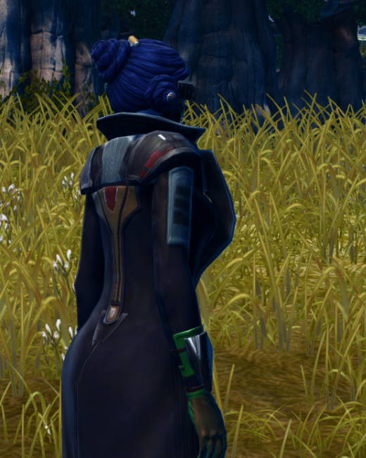 RD-04B Sharpshooter / TD-04B Spec Ops (Imperial) Armor Set Back from Star Wars: The Old Republic. RD-04B Sharpshooter / TD-04B Spec Ops (Imperial) Armor Set Back from Star Wars: The Old Republic. - BACK