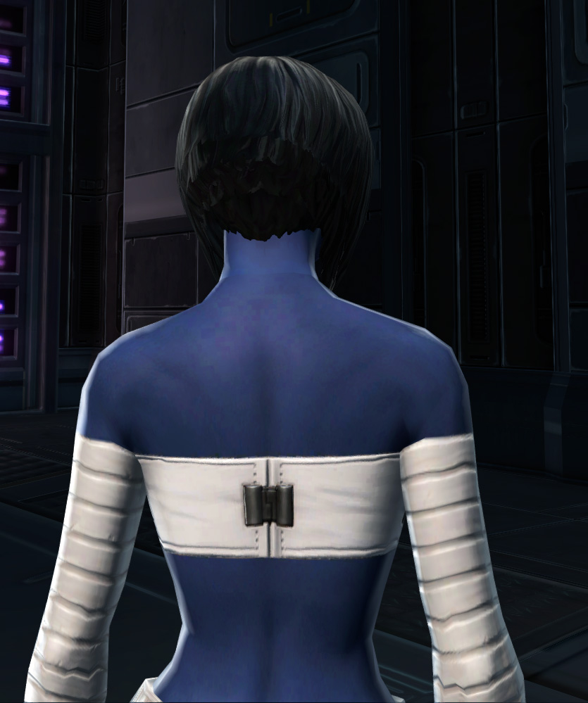 Relaxed Uniform Armor Set detailed back view from Star Wars: The Old Republic.
