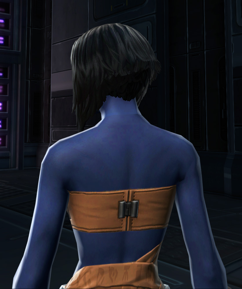Relaxed Vestments Armor Set detailed back view from Star Wars: The Old Republic.
