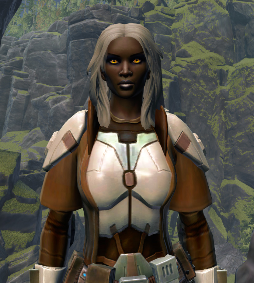 Resolute Guardian Armor Set from Star Wars: The Old Republic.