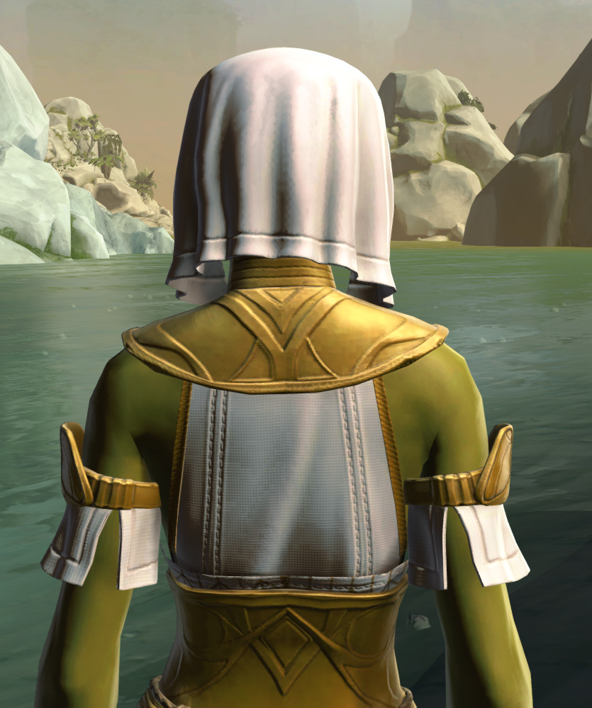 Resort Swimwear Armor Set detailed back view from Star Wars: The Old Republic.
