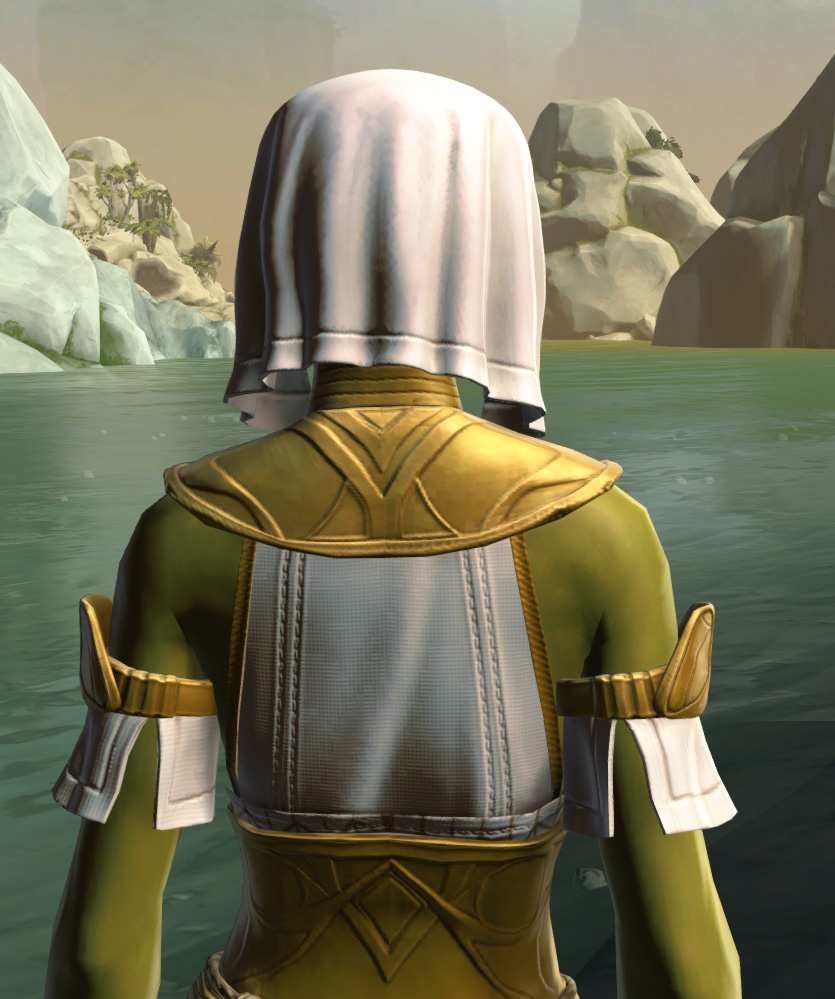 Resort Swimwear (no cape) Armor Set detailed back view from Star Wars: The Old Republic.
