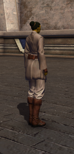 Steadfast Master Armor Set player-view from Star Wars: The Old Republic.
