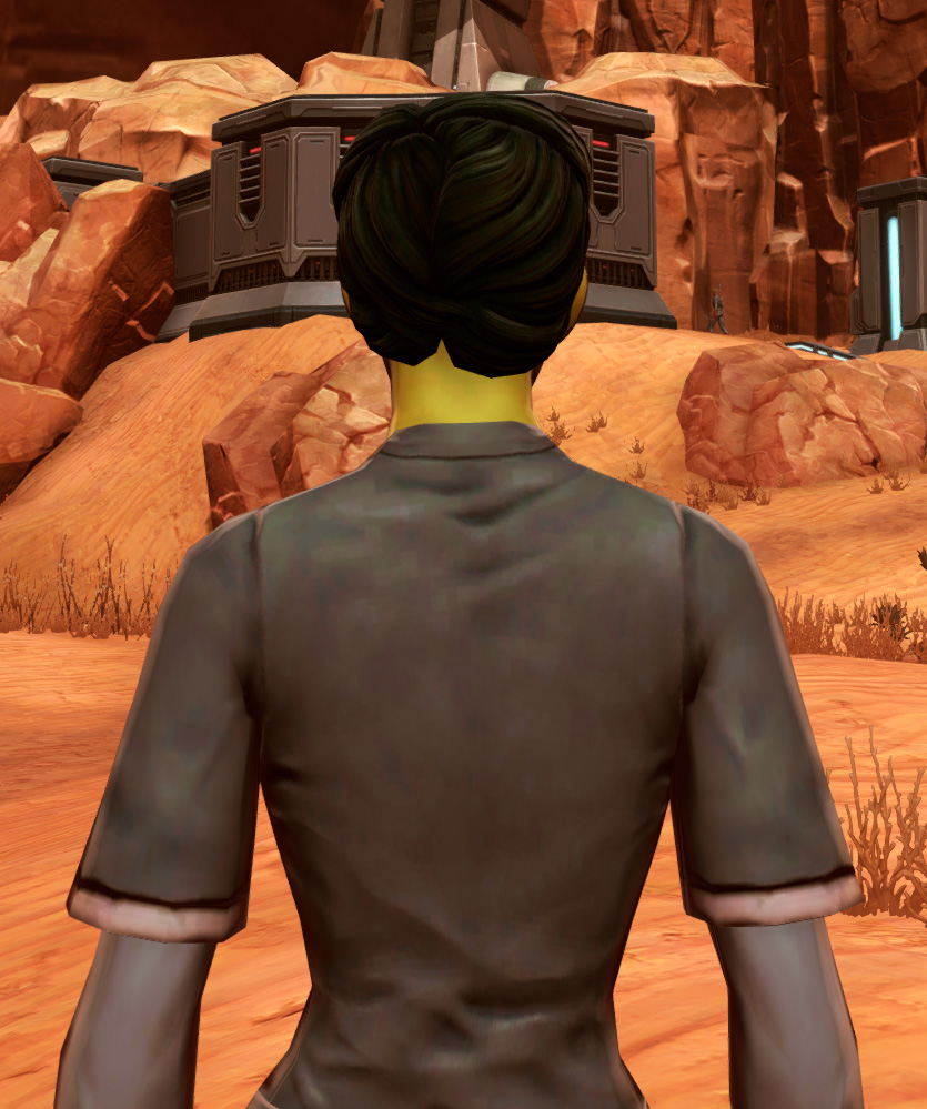 Street Armor Set detailed back view from Star Wars: The Old Republic.