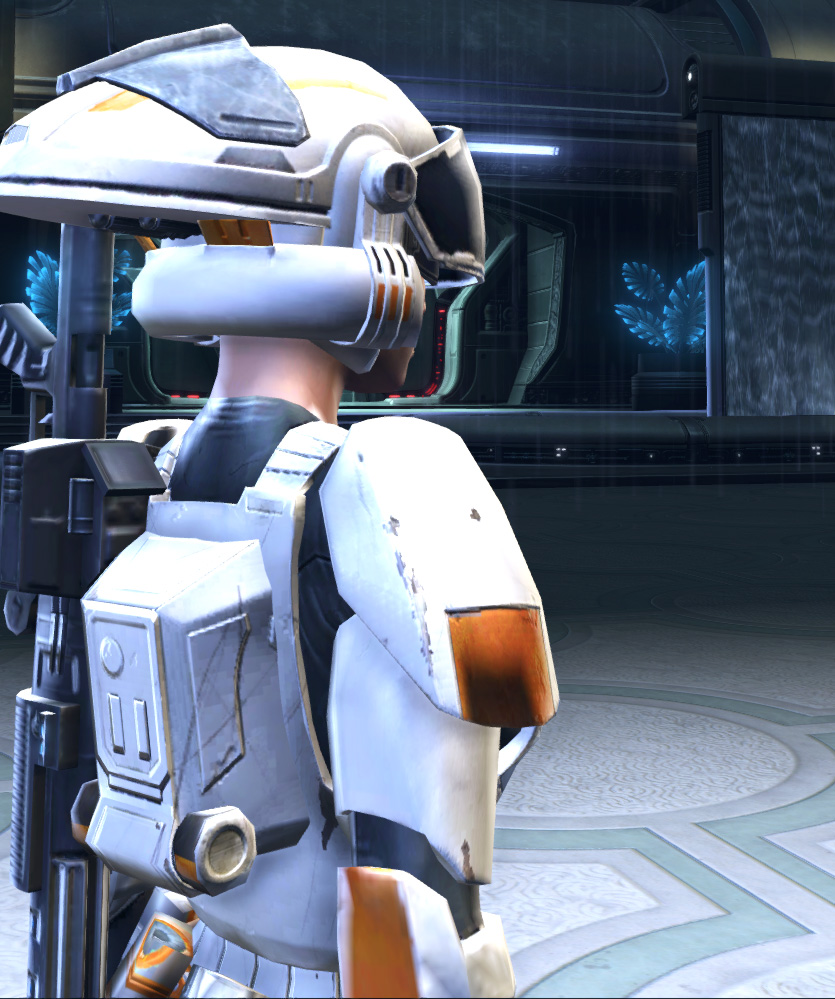 Tatooinian Trooper Armor Set detailed back view from Star Wars: The Old Republic.