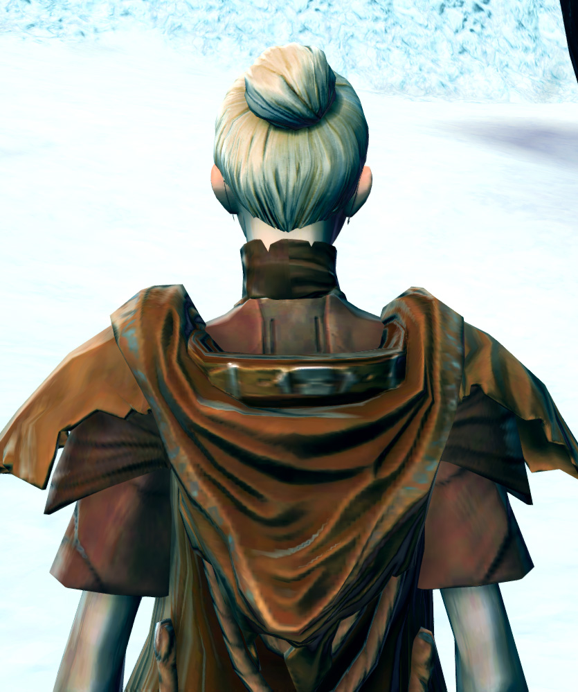 Tribal Hermit Armor Set detailed back view from Star Wars: The Old Republic.