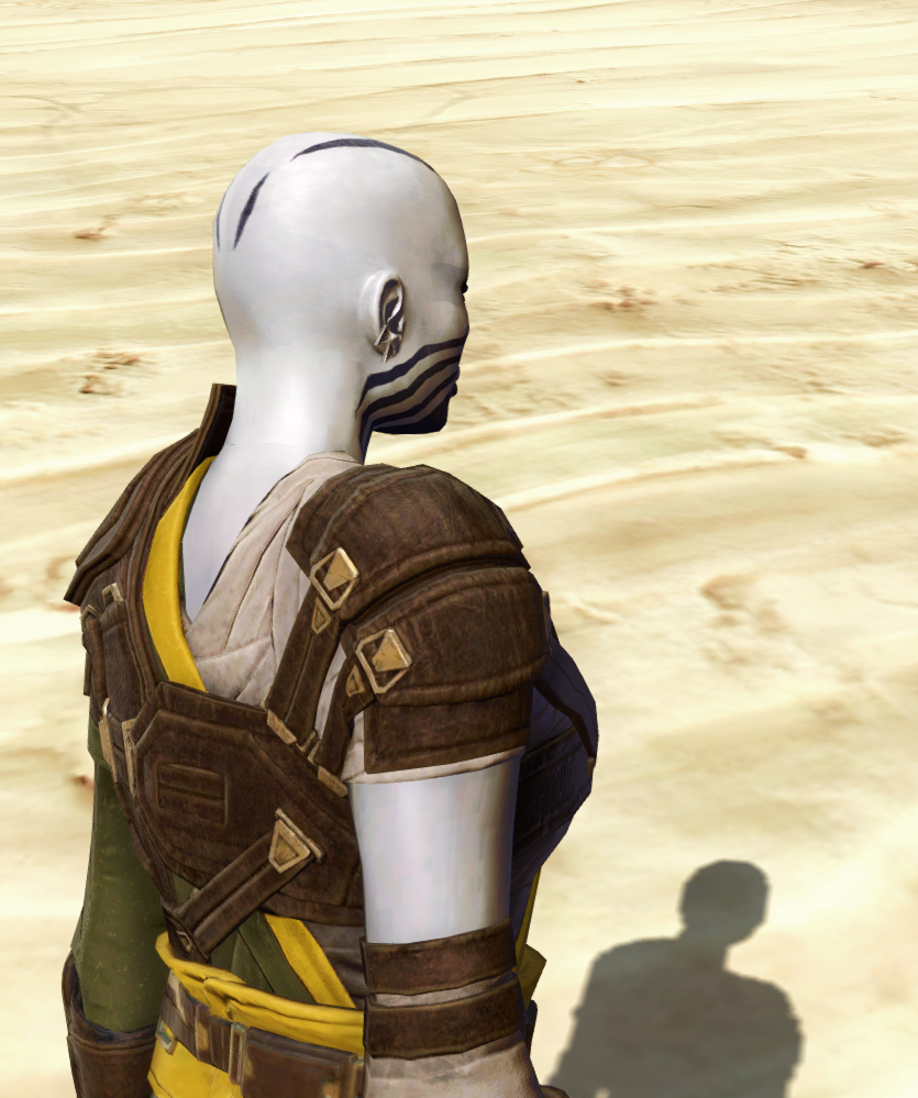 Tython Highlander Armor Set detailed back view from Star Wars: The Old Republic.