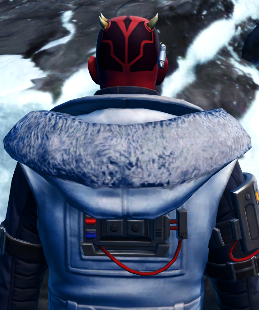 Winter Outlaw Armor Set detailed back view from Star Wars: The Old Republic.